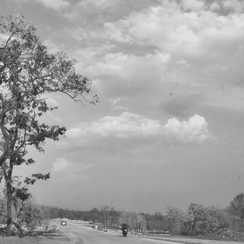 Photo #5192531