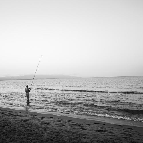 Photo #5193075