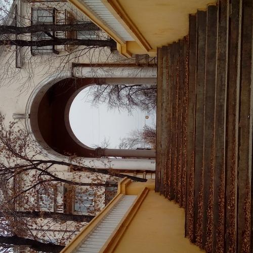 Photo #5193343