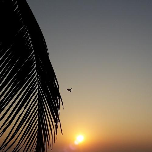 Photo #5193972