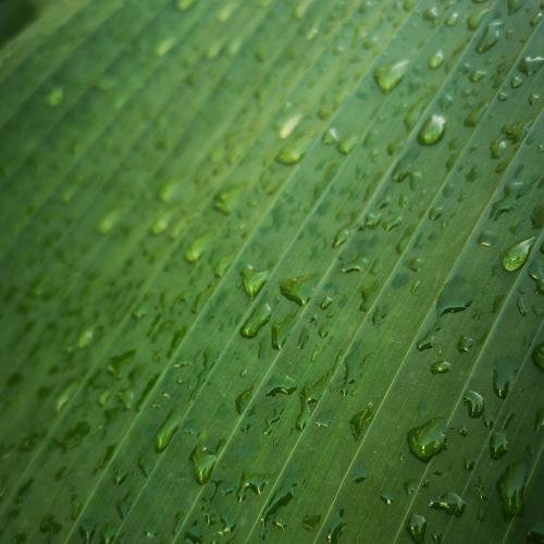 Photo #5194039