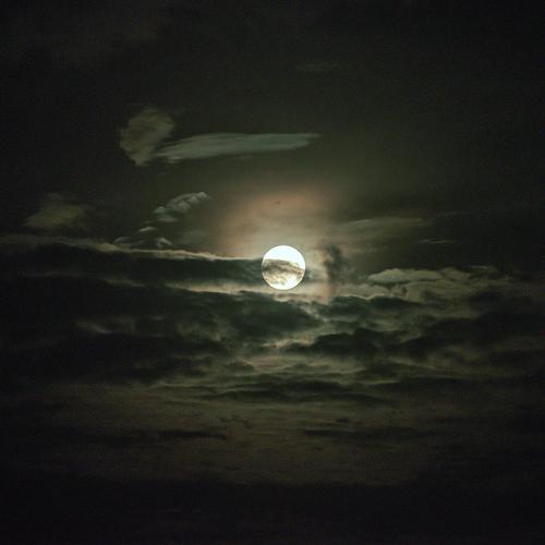 Photo #5194664