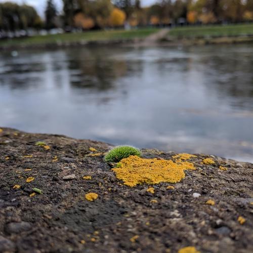 Photo #5194681