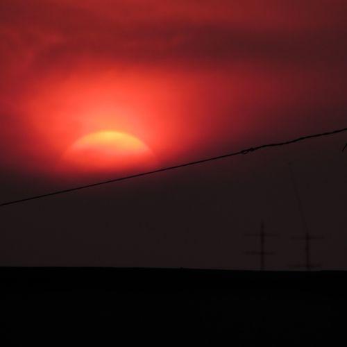 Photo #5194746
