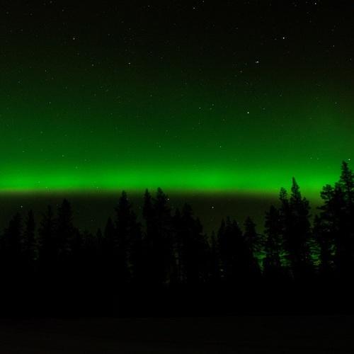 Photo #5195060