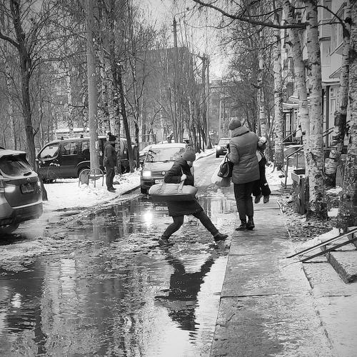 Photo #5195394