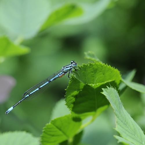 Photo #5195426