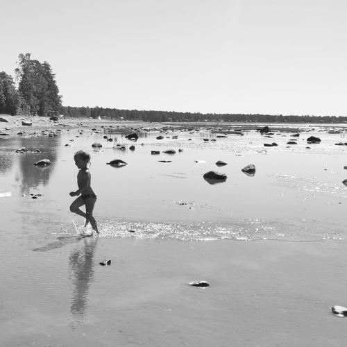 Photo #5195464