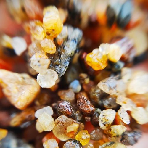 Photo #5195515