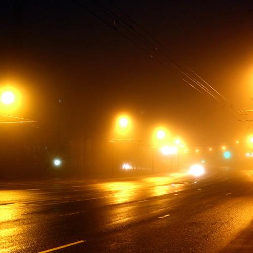 Photo #5196180