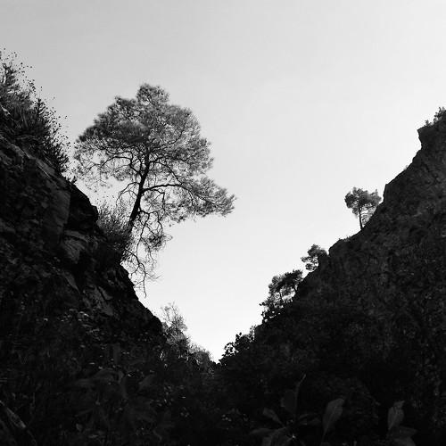 Photo #5196323