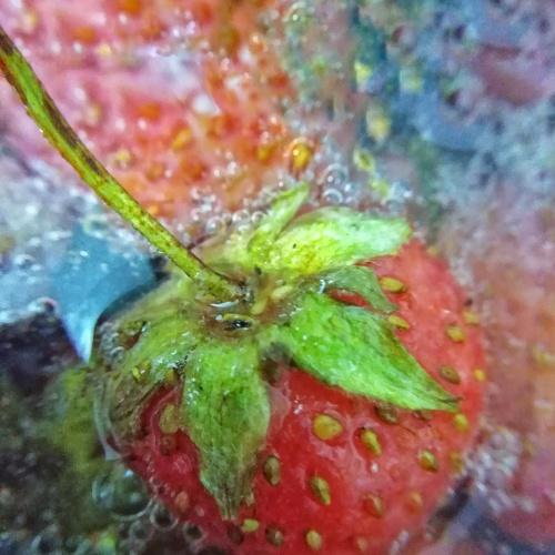 Photo #5196790