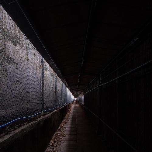 Photo #5196827
