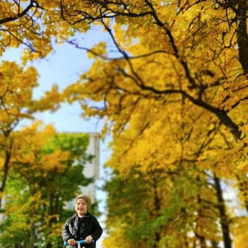 Photo #5196903