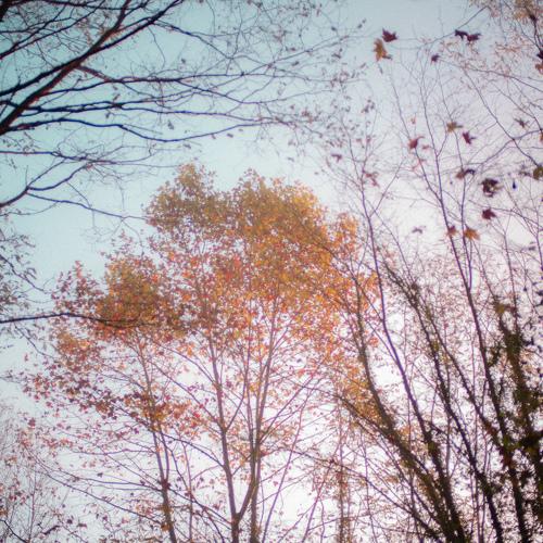Photo #5197000
