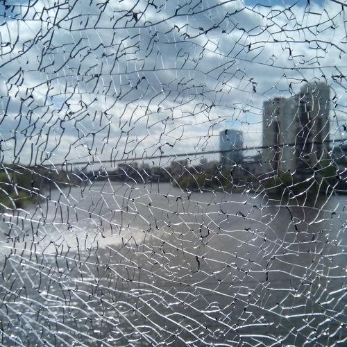 Photo #5197142