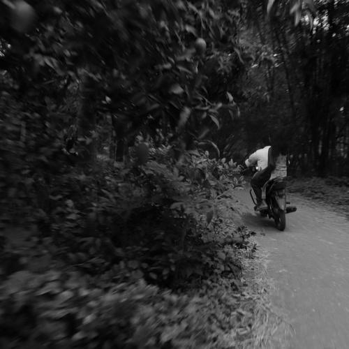 Photo #5197554