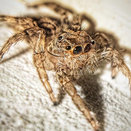 Photo #5198175