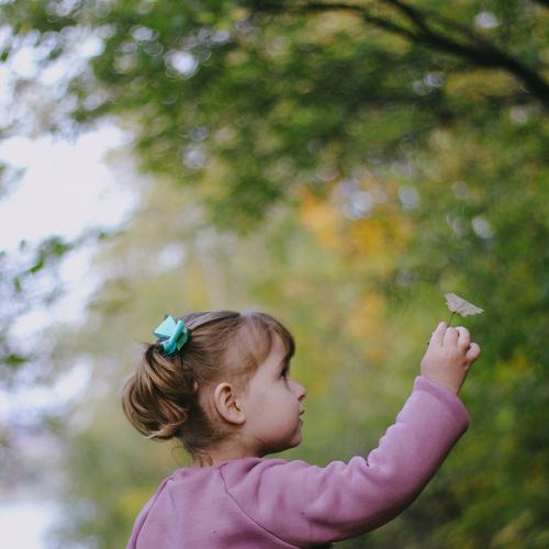 Photo #5198212