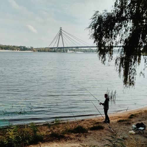 Photo #5198223
