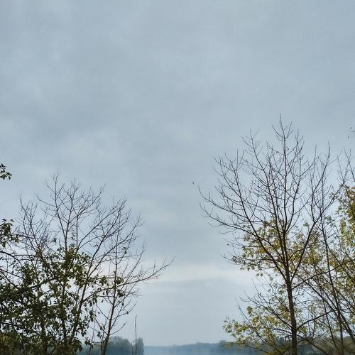 Photo #5198224