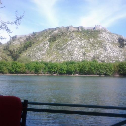 Photo #5198449