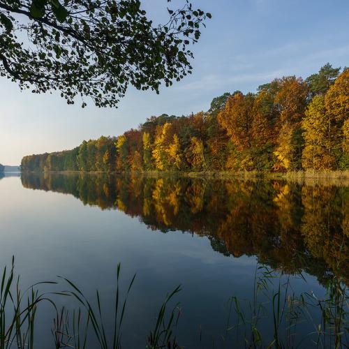 Colors of autumn