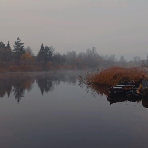 Photo #5200235