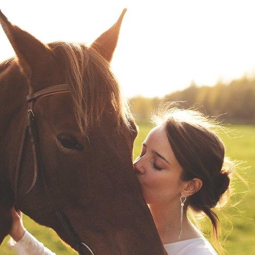 Photo #5200866