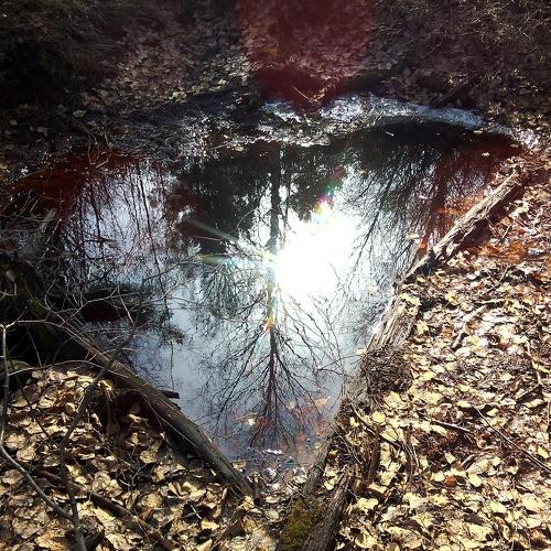 Photo #5200910