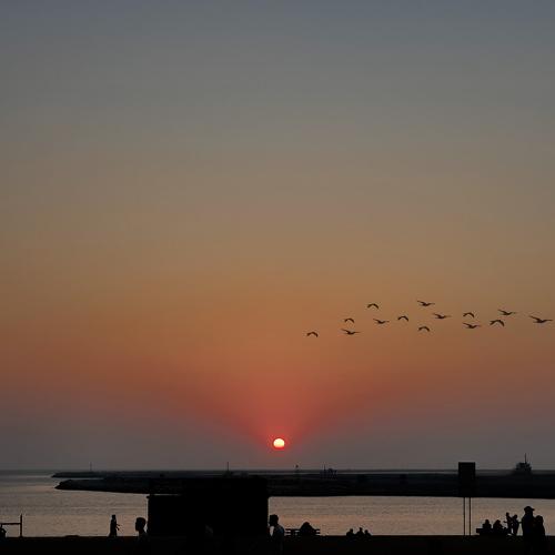 Photo #5201067