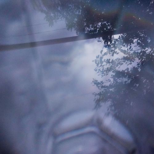 Photo #5202273