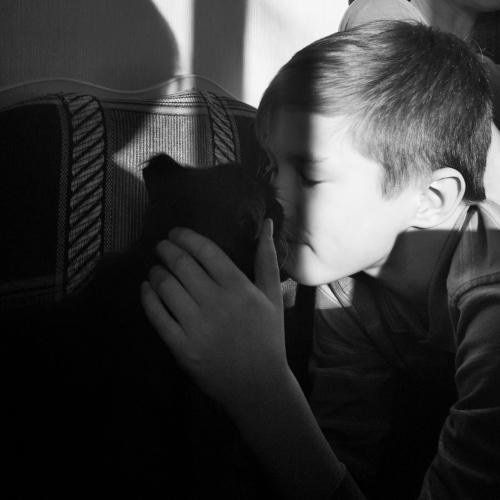 Photo #5202303