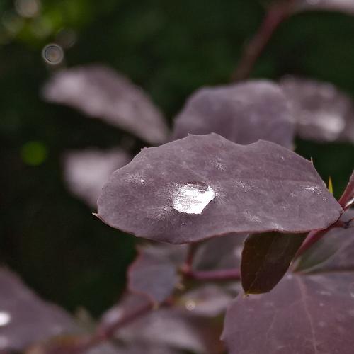 Photo #5202578