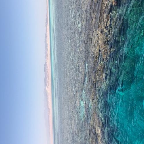 Photo #5203113