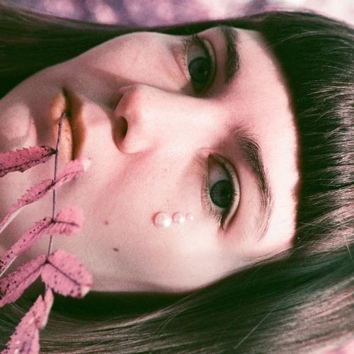 Photo #5203193