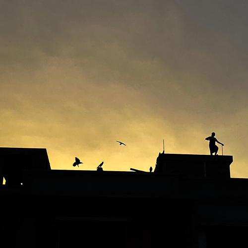 Photo #5203245