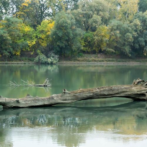 Река Кубань
