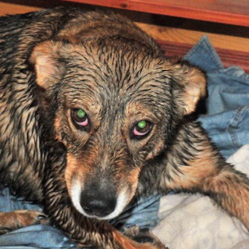 Photo #5203836