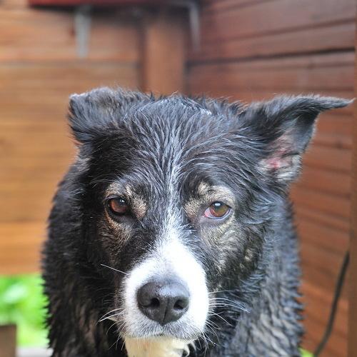 Photo #5203839
