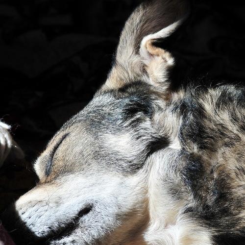 Photo #5203846