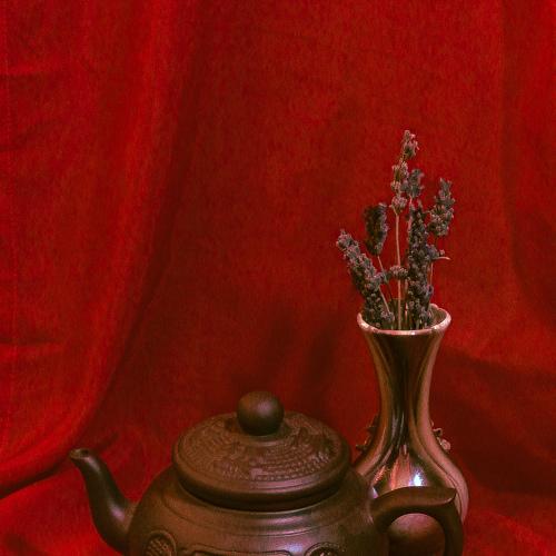 Photo #5203895