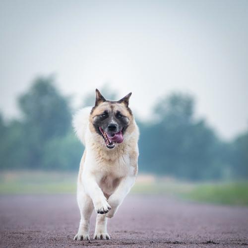Photo #5204134
