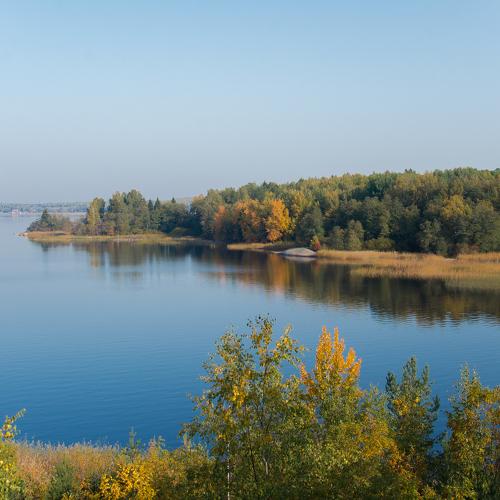 Photo #5204208