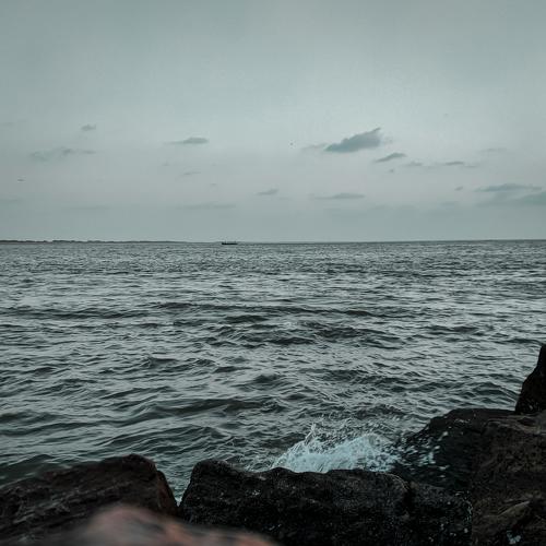 Photo #5204298