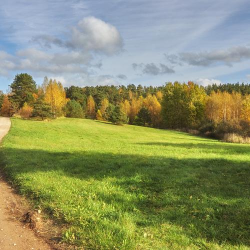 Photo #5204361