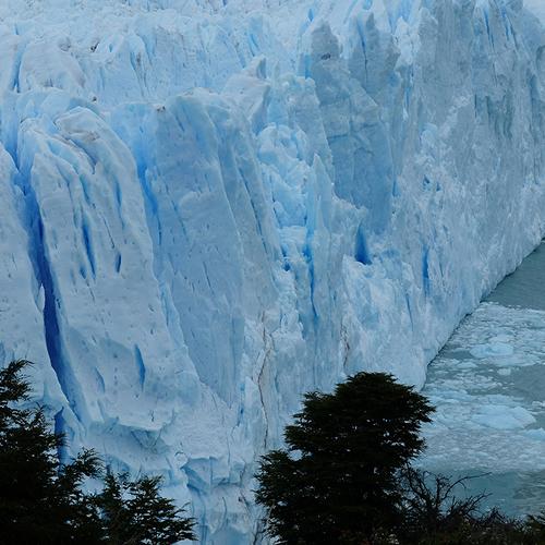 Photo #5205335