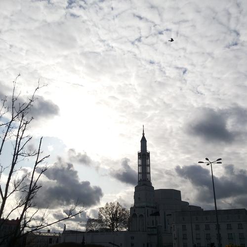 Photo #5205341