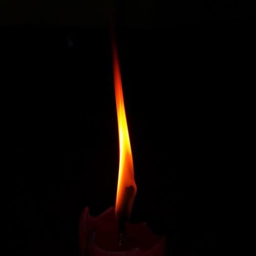 Photo #5205676