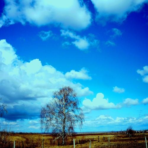 EVERYTHING IS SAD, EXCEPT THE SKY!